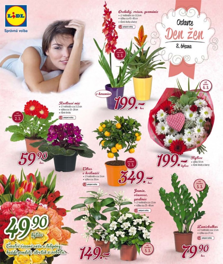 letk Lidl Akn nabdka od 2.3.2015 strana 1